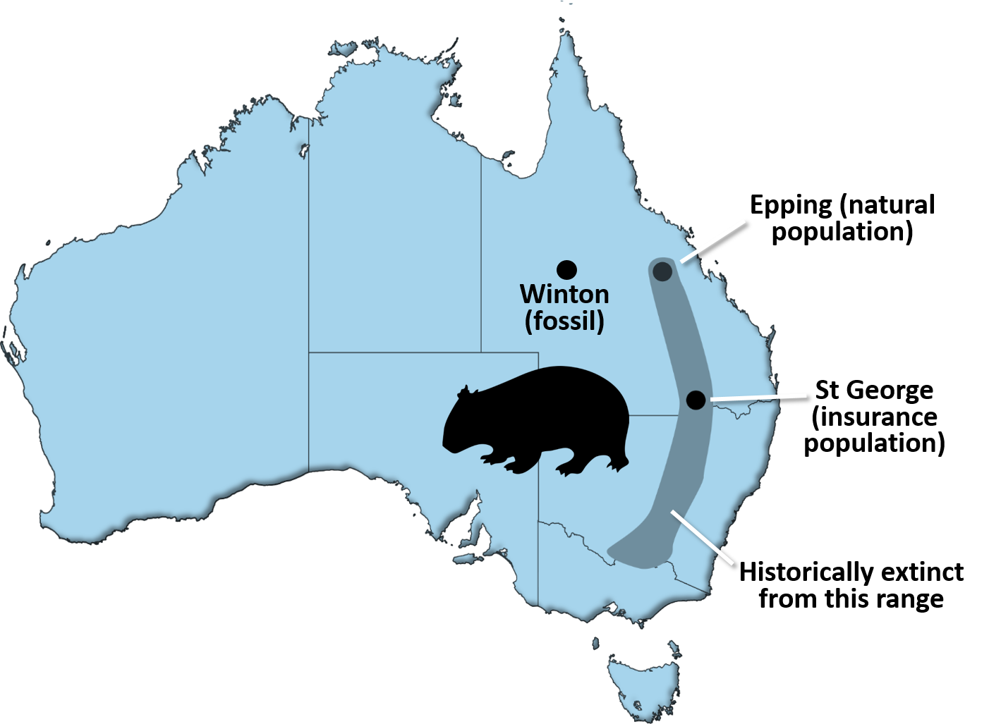 Where Do Wombats Live In Australia Map - United States Map